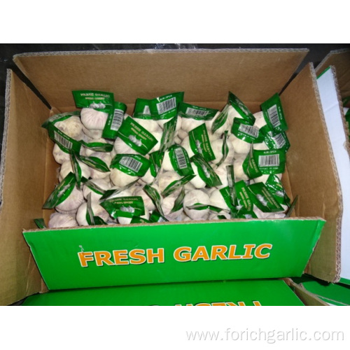 Crop 2019 Fresh Normal White Garlic